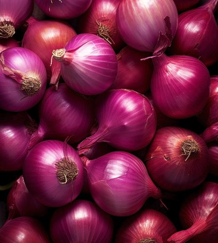 onions, vegetables, fresh, nutrition, vegetarian, vegan, food, vegetable garden, vitamins, nature, vegetables, vegetables, vegetables, vegetables, vegetables